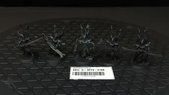 Warhammer 40k Drukhari Incubi x5