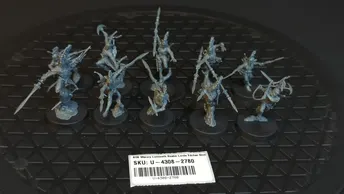 Age of Sigmar Warcry Lumineth Realm Lords Ydrilan Riverblades x10