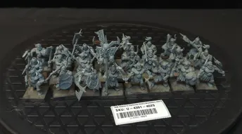 Age of Sigmar Slaves to Darkness Chaos Marauders (Old Model) x24