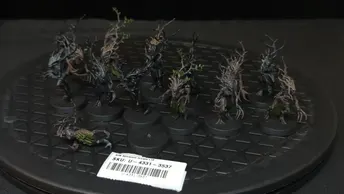 Age of Sigmar Sylvaneth Dryads x16