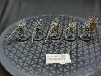 Age of Sigmar Sylvaneth Spite-Revenants x5