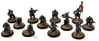 Warmachine Retribution of Scyrah 12 Dawnguard Invictors #1