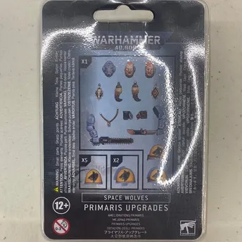 Space Wolves Primaris Upgrades
