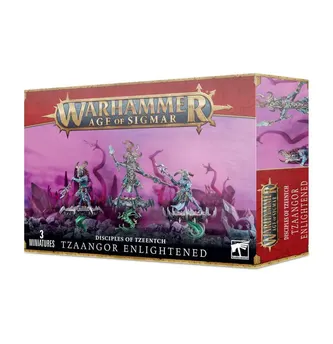 Warhammer AOS - Disciples Of Tzeenth - Tzaangor Enlightened
