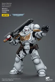 Figura 1/18 Space Marines White Consuls Intercessors 1 12 cm