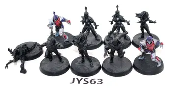 Warhammer Bloodbowl Naggaroth Nightmares Team JYS63