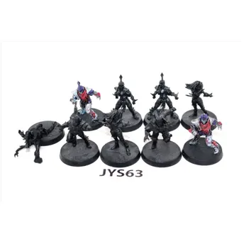 Warhammer Bloodbowl Naggaroth Nightmares Team JYS63