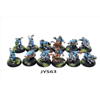 Warhammer Bloodbowl Dwarf Team JYS63