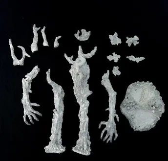 Fangorn Treebeard