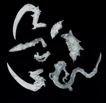 Tyranids Ravener