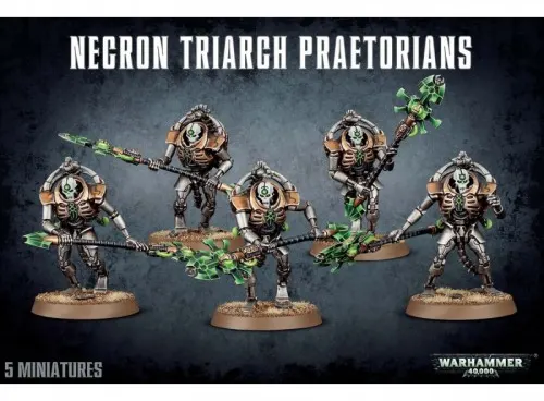 Necrons: Pretorianos De La Triarca