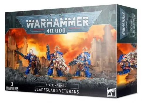 Space Marines: Veterans Bladeguards