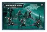 Drukhari: Hellions (x5)
