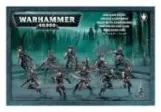 Wyches - Drukhari