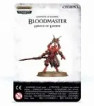 Bloodmaster Herald of Khorne (1)