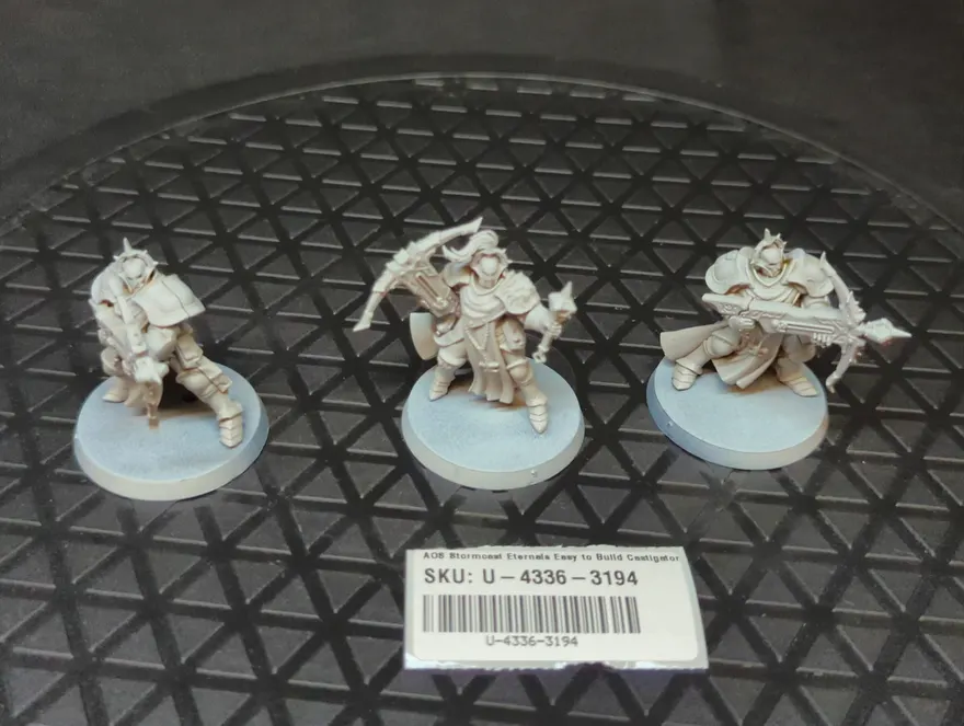 Age of Sigmar Stormcast Eternals Easy to Build Castigators x3