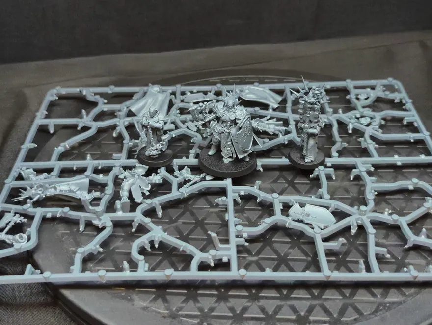 Age of Sigmar Stormcast Eternals Reclusians x5