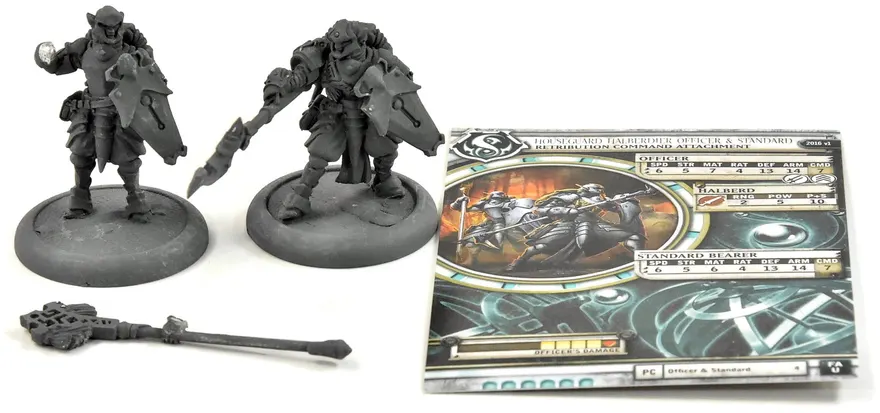Warmachine Houseguard Halberdiers Officer & Standard #1 Metal Retribution