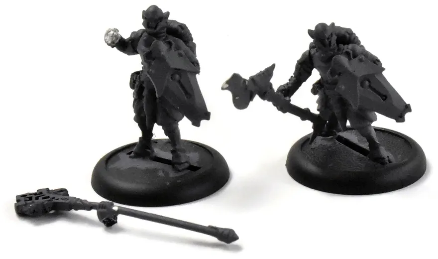 Warmachine Retribution of Scyrah Houseguard Halberdier & Officer w/ Standard
