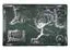 Set med 4 placemats - Middle Earth - Lord of the Rings