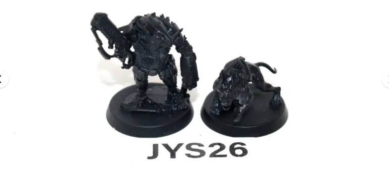 Warhammer Necromunda Outland Beastmaster with Wasteland Dirt-rat JYS26